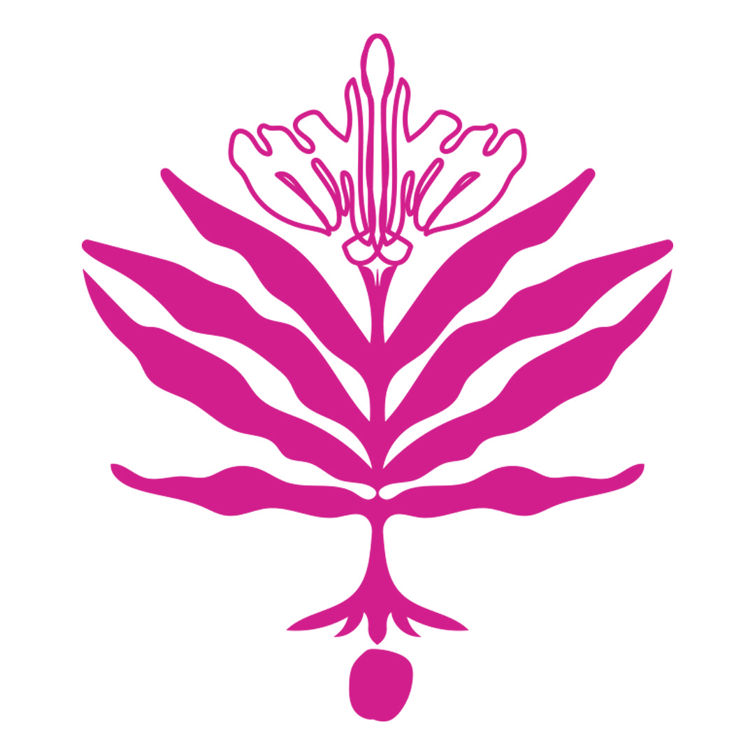 6_transparent
